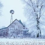 Winter brings out the great and worst of existence 3